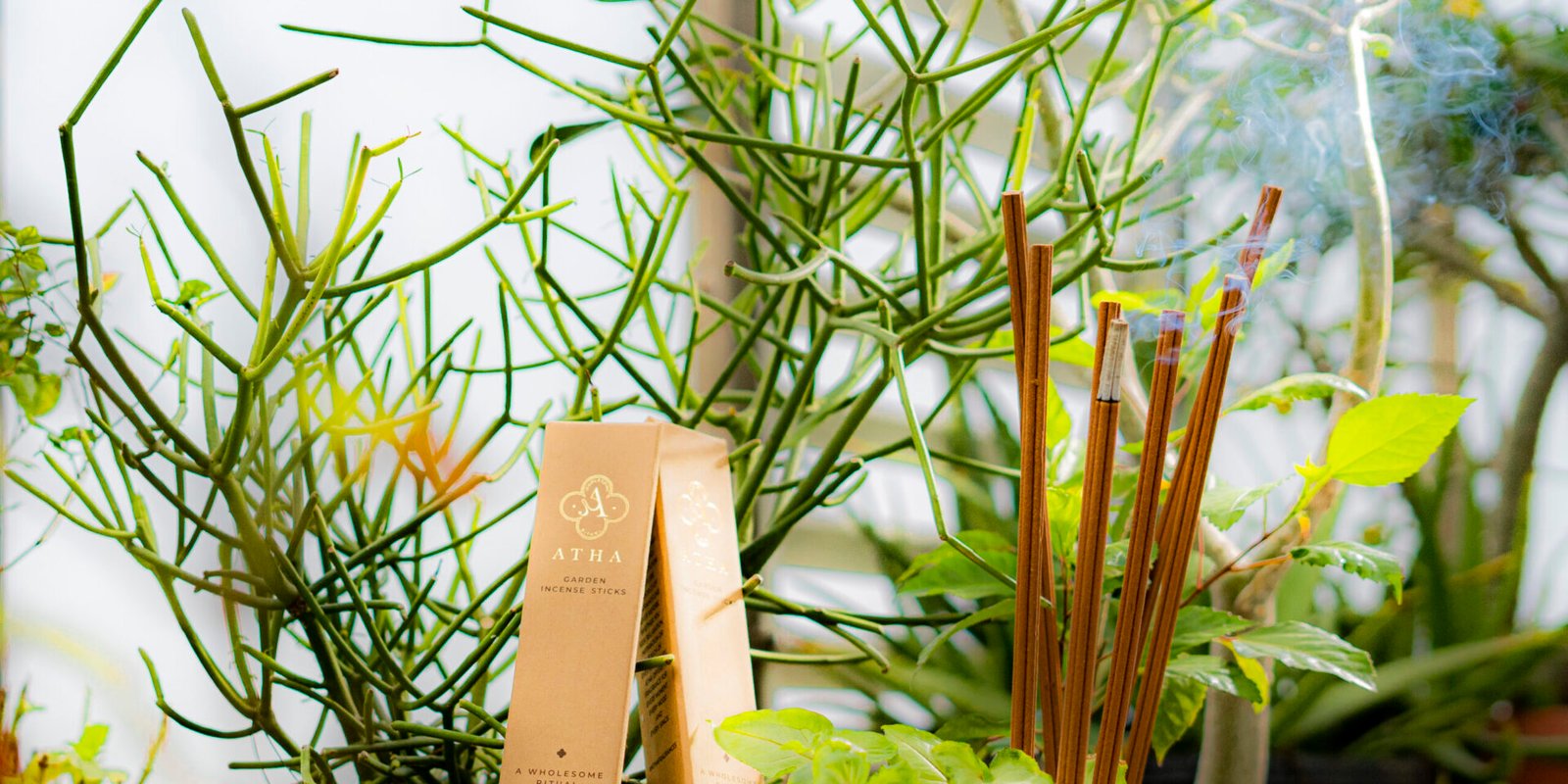 Read more about the article 7 Benefits of Lighting Incense at Home